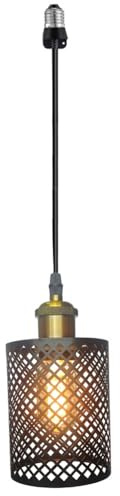 DWYHTD Screw in Hanging Light Fixture Instant Pendant Light,Recessed Light Conversion Kit with E26 Screw-in Adapter for Bedroom,Living Room & Kitchen Island Lighting (Farmhouse)