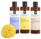 Champneys Shower Gel Set x 350ml x 3 Calm, Slumber and Awaken Bundle with Rainbow Gifts Soft Sponge