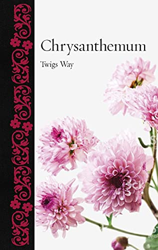 Chrysanthemum (Botanical)