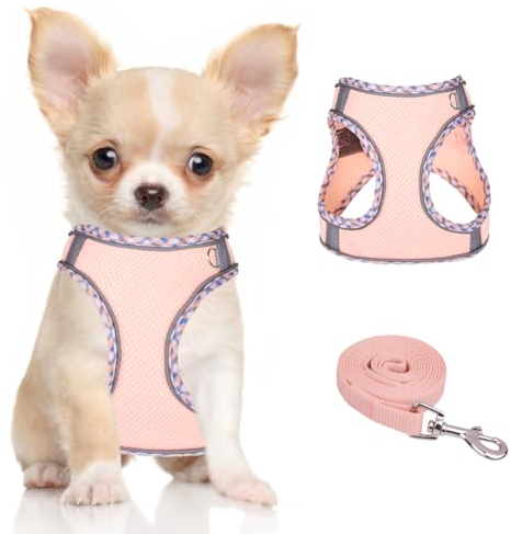 Doggiekit Hundegeschirr Kleine Hunde mit Leine, verstellbares reflektierendes Step in Welpengeschirr Leine, Atmungsaktives Mesh Hundegeschirr,weich gepolsterte Weste für extra kleine/mittelgroße Hunde