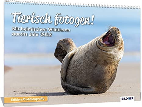 Tiere Kalender 2023, Tierisch fotogen! Mit einheimischen Wildtieren durchs Jahr 2023, die schönsten Tiermotive und Aufnahmen – Hochwertiger ... / Wildtierkalender – Edition Profifotografie