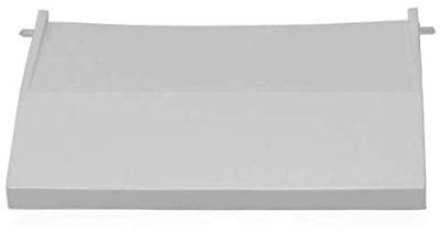 Volet de skimmer ASTRAL (courbé) depuis 1988