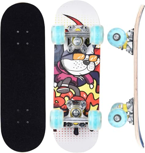 ERNAN Complete Skateboard, 17 Inch Double Kick Skateboard, Wheels Light Up When Moving, Assorted Designs and Colours with Skate T-Tool (white)
