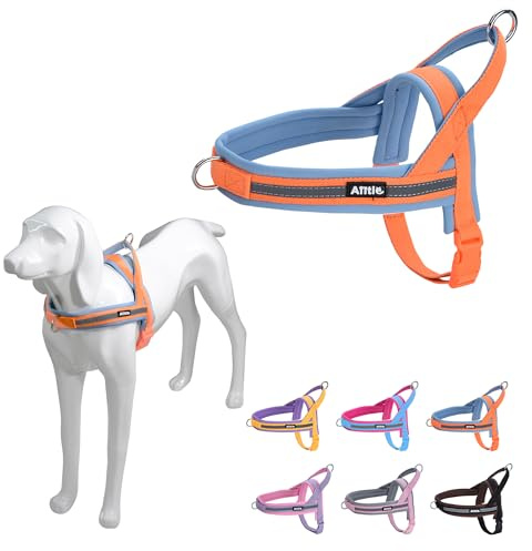 AIITLE Pettorina anti-tiro per cani con impugnatura morbida imbottita, striscia riflettente anti-fuga per regolare le imbracature per cuccioli, per cani di piccola taglia Arancione-Blu XXS