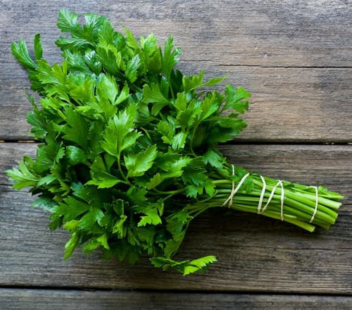 Semi Prezzemolo Comune Italiano da Piantare, Pianta Aromatica