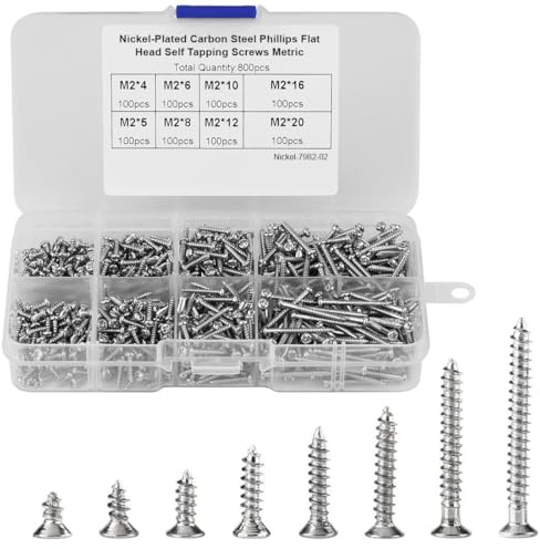 ZEXOWIJ 800 Pezzi Viti Autofilettanti per Metallo, Viti per Legno, Viti a Testa Piatta Testa a Croce Acciaio Inox Assortimento, M2, 4mm/5mm/6mm/8mm/10mm/12mm/16mm/20mm-Silber
