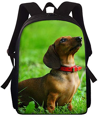 Showudesigns Sac à dos pour enfants avec porte-bouteille d'eau - Sac d'école maternelle - Sac à livres pour garçons, Teckel, Taille unique, Sac à dos enfant