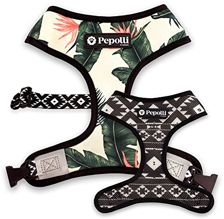 Pepolli Hundegeschirr verstellbar | Geschirr für Franz. Bulldogge, Frenchie, Frenchbulldog, Mops (M (Hals 37–40 cm, Brust 52 – 71 cm), Hawaii)