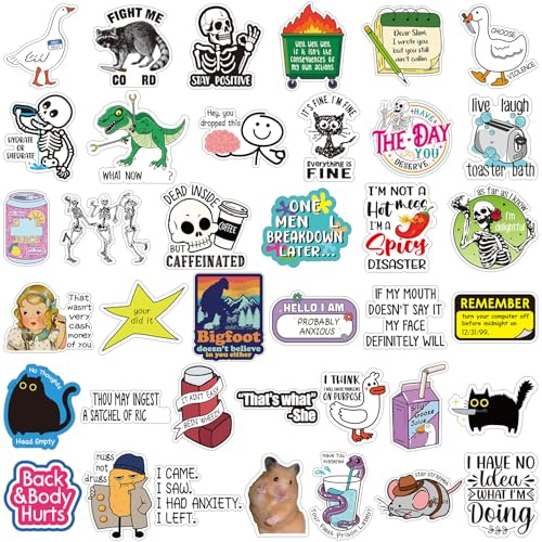 Chivertion 400 Pcs Funny Stickers for Adults Waterproof Vinyl Sarcastic Stickers Meme Decals for Water Bottles, Laptop, Phone, Hard Hats, Journal, Scrapbook