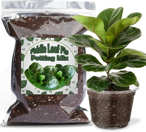 Organic Fiddle Leaf Fig Potting Mix 2L, Indoor Plants Potting Mix for All Potted Ficus Lyrata Plant, Grow Healthy houseplants Indoors