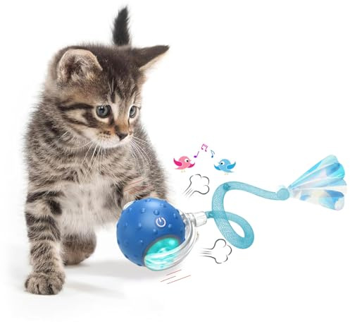 KQLHLHDYZ Giocattolo interattivo per gatti giocattolo per gatti per gatti da interno giocattolo per gatti adulti giocattolo intelligente per gatti giocattolo per gatti con sensore di movimento Smart