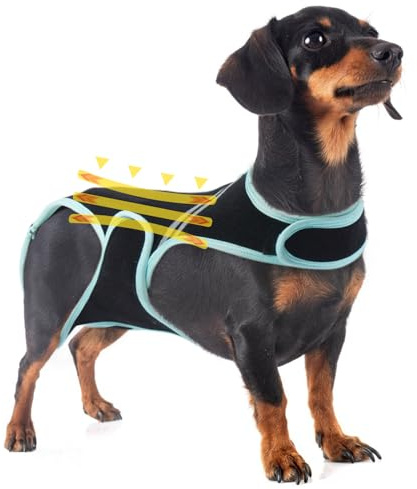 PUMYPOREITY Soporte de Espalda para Perros Artritis, Soporte de Espalda para Perros IVDD, Protector de Espalda Ayuda a Aliviar el Dolor, Recuperación Quirúrgica Y Rehabilitación(S)
