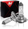 WinPower H7 70W 24V LKW Scheinwerfer Halogenlampen 3000K Gelb Super Bright, 2 Stück