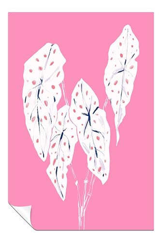 Panther Print Begonia Maculata Pink Unframed Poster, Pictures for Home Walls, Bedroom, Living Room & Bathroom Decor 31x20cm (12x8in)