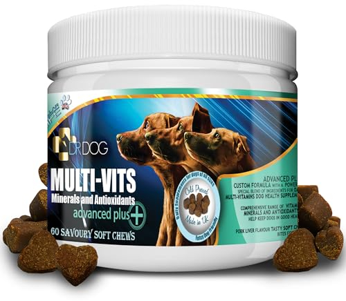 DR DOG Multivitamin for Dogs – 60 Natural Soft Chews Tasty Treats – Essential Multivitamins Minerals Antioxidants – Fussy Friendly Chewable Pet Multi Vitamin - Made in UK