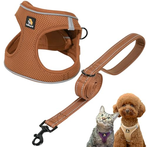 BELLA & PAL Juego de arnés y correa para perro, arnés para cachorros, malla de aire transpirable con tiras reflectantes, chaleco sin tirones para cachorros, perros extra pequeños, color moca, XXS