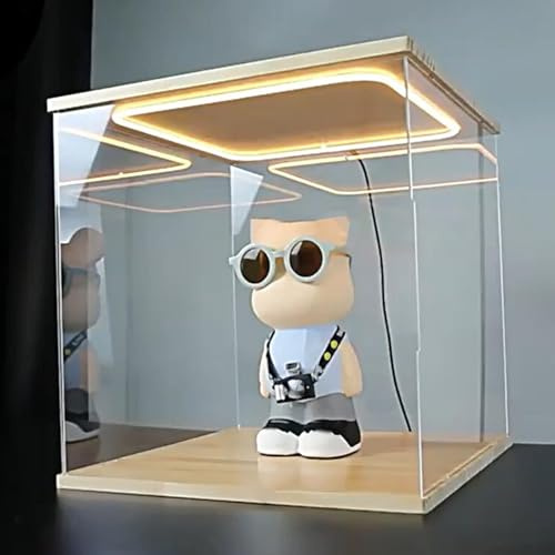 Vitrine Acrylique Boîte en Acrylique Transparent avec Éclairage LED, Vitrine en Acrylique Empilable, Boîte de Rangement Anti-poussière pour Objets de Collection, Vitrine de Comptoir pour Figurines(20x