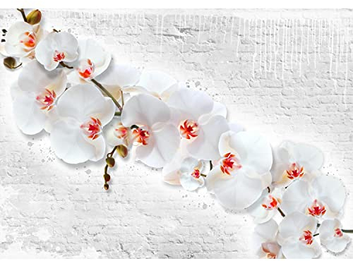 Runa Art Carta da parati fotografica Fiori di orchidea muro di pietra Moderno Vello Soggiorno Camera Da Letto Sala - Made in Germany - Bianco rosso 9323010c