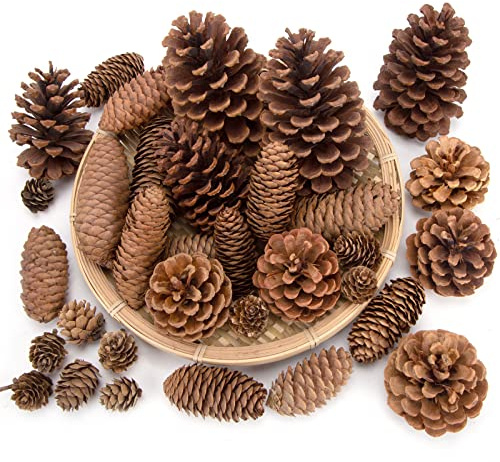 JOHOUSE 50PCS Large Natural Pinecone Ornaments, Pine Cones for Crafts, Pinecone Ornaments for Christmas Tree, Wreath Making, Winter Christmas Bowl Fillers, Winter Vase Filler