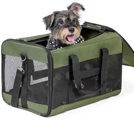 Conlun Hundtransportbox, mjuk sida, stor väska för katter med innerrem, transport för stora katter och medelstora hundar upp till 9 kg, hopfällbar resväska för valpar, grön, L