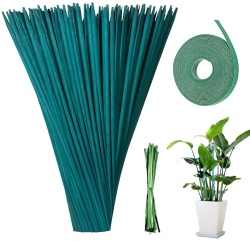 mizikuu 50 Piezas Soportes para Plantas, 38cm Varillas Tutores para Plantas Bamboo Stick con 30 Yardas de Cinta de Papel de Flor y 50 Correas de Plantas Palos de Madera Verdes