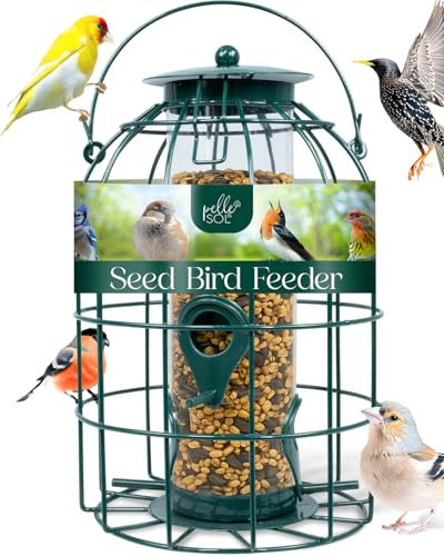 Pelle & Sol Bird Feeder - Seed Feeder for Wild Birds - Compact Iron Design for Bird Feeders Hanging Station - Weather Resistant, Squirrel Proof, Easy Clean, Hang Anywhere Outdoor Feeders