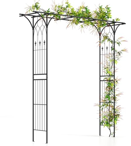 COSTWAY Rosenbåge metall, trädgårdsbåge för klätterväxter, dörrbåge trädgård, rosengaller, spaljé, rosengaller för bakgård, veranda, bröllopsfester (206 x 53 x 206 cm, svart)