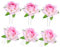 Hemobllo 6Pezzi Forcelle per U con Decorative Accessori Eleganti per Matrimonio e Feste Adatti per Sposi e Speciali