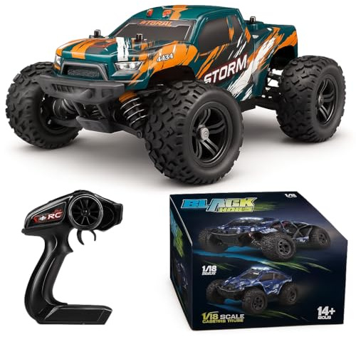 Coche Teledirigido RC escala 1:18 4WD, 36km/h, 2.4GHz control remoto, monster truck Juego exterior e interior. 4WD OFF-ROAD RC MONSTER TRUCK BLACK HOLE Regalo cumpleaños para niños +14 años