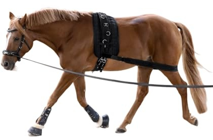 WALDHAUSEN Körperbandage - Aktivierung der Hinterhand schwarz, VB/WB