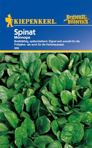 Kiepenkerl Spinatsamen Monnopa 358 - Resistente Sorte für Frühjahr- und Herbstanbau, Dunkelgrüne, glänzende Blätter, breitblättrige Saat, Hoher Ertrag, Mehltauresistent, Winterhart, Gemüsesamen