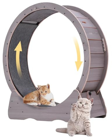 Rueda de ejercicio grande de 43 pulgadas para gatos de interior, cinta de correr silenciosa, diseño sin puntas, rueda de correr segura y silenciosa, fácil de montar, soporta gatos de hasta 55 libras