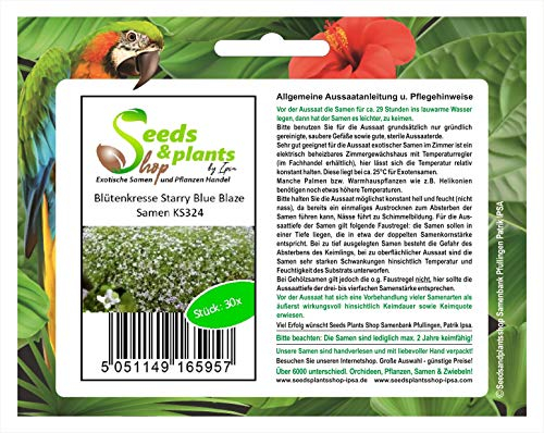 Pcs - 30x Blütenkresse Starry Bleu Blaze - Pensées Graines Fleur KS324 - Seeds & Plants Shop by Ipsa