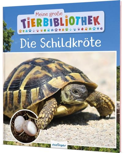 Meine große Tierbibliothek: Die Schildkröte: Sachbuch für Vorschule & Grundschule