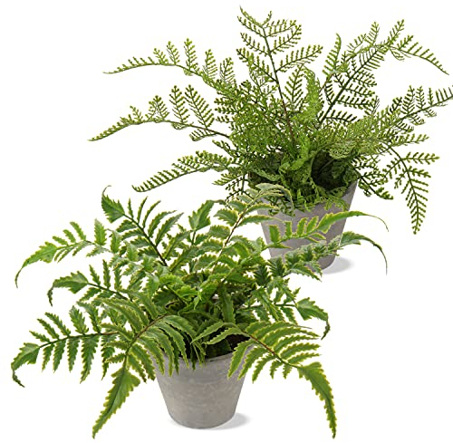 Oairse 2 Pack Artificial Boston Fern Plant in Pots Decorative Artificial Plant Small Fake Plants Indoor Faux Fern Potted for Home Bedroom Office Desk Room Decoration