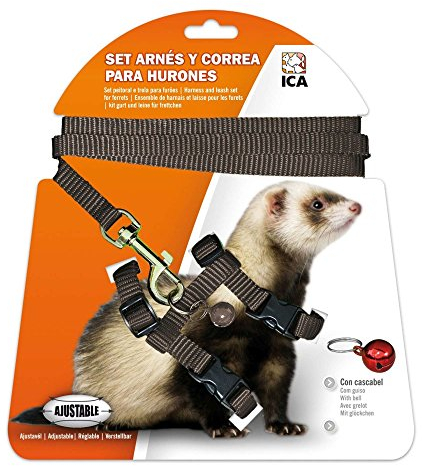 ICA DA973 Set mit Geschirr und Gurt für Frettchen, Schwarz