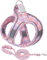 Hundegeschirr und Leine Set, Reflektierenden Brustgeschirre Kein Ziehen Step-in-Welpengeschirr, Gepolsterter Weste für extra kleine/Mittelgroße Hunde Katzengeschirr (Pink, XS)