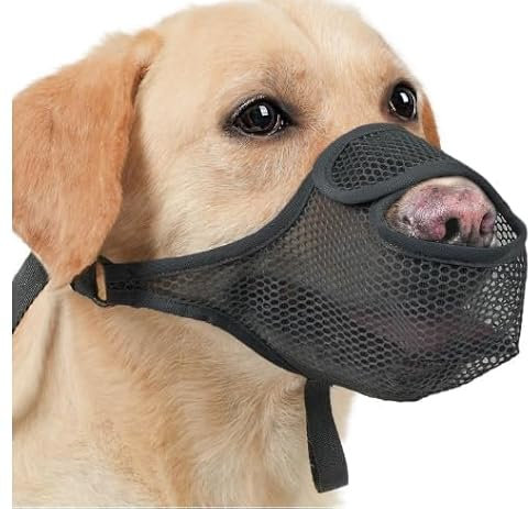 ZYEKIU Maulkorb Mittlere Hundes, Nylon Maulkorb Für Hundes, Maulkorb Kleine Hunde Netz, Maulkorb für Große Hunde Einstellbar, Maulkorb Hund Atmungsaktiv, für Kleine, Mittlere （S, Schwarz