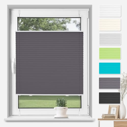 TFSKY Plissee Klemmfix ohne Bohren Anthrazit B85 x H200 cm, Plisseerollo Jalousie Lichtdurchlässig Faltrollo Easyfix Sonnenschutz und Sichtschutz für Fenster & Tür
