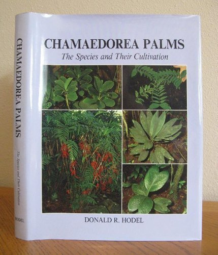 Chamaedorea Palms the Species and Their Cultivation
