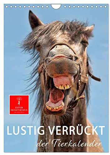 Lustig verrückt - der Tierkalender (Wandkalender 2025 DIN A4 hoch), CALVENDO Monatskalender: Schöne Tierbilder, die Freude machen. (CALVENDO Tiere)