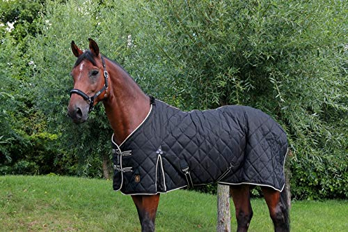 BR Classic 1200D - Coperta da stalla, 300 g, misura 145
