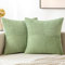 MIULEE 2er Set Kissenbezug 40x40cm Hellgrün frühling Kissenhülle Kissenbezüge Sofakissen Dekokissen Boho Couchkissen Kord Dekorative Zierkissenbezug für Sofa