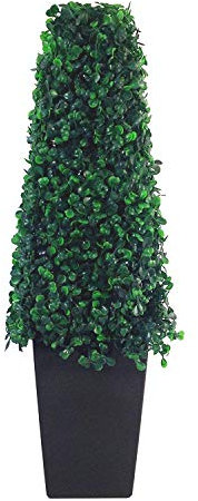 Metro Garden Artificial Boxwood Topiary Pyramid Cone in Black Resin Pot 55cm (1.8ft) Tabletop or Floor Standing Tree