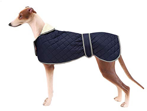 Geyecete - Windhund Warmer wintermantel, Hundemantel mit Dickes Steppfutter, verstellbaren Outdoor Hundejacke mit Geschirr Loch für mittel große Windhunde Whippet Lurcher Saluki -Blau-XS