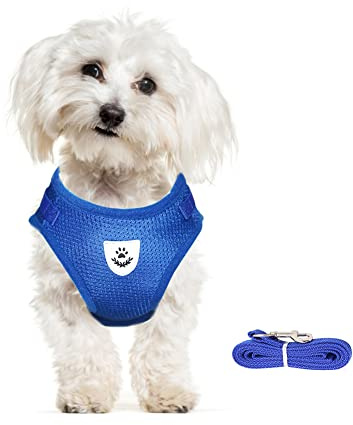 meioro Pettorina Cane Taglia Piccola e Guinzaglio per Cani Gatti Cuccioli,Imbracatura Cane Regolabile Traspirante Riflettente Imbottita in Morbida Rete,Gilet per Passeggiate Corsa (XS, Blu)