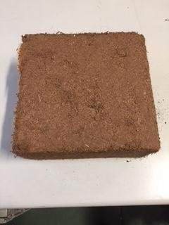 N.G. NICCOLAI Terriccio in Fibra di Cocco per utilizzo Interno ed Esterno - Privo di Torba e concimi - Blocco da 5 kg - polverino