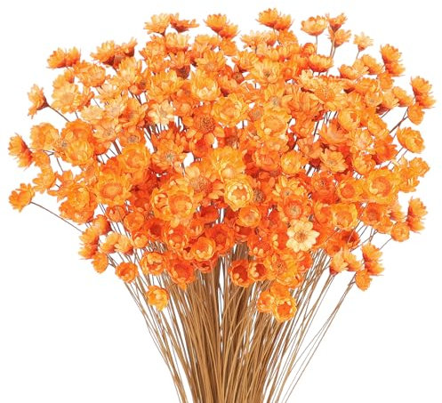 300 PCS Brazilian Small Daisy & Mini Daisy Decorative Dried Flowers - Orange, Baby's Breath, Chamomile Bouquet for Holiday Party Decoration, DIY Home Wedding & Dried Floral Arrangement