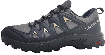 SALOMON X Braze Gore-tex, Botas de hiking Hombre, Magnet Black Gray Green, 46 EU