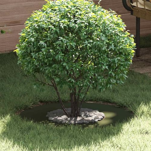 Mandloder Lot de 5 bordures d'arbre, vert olive, diamètre : 30/60 cm, en acier, protection durable des racines, pour jardin, terrasse, extérieur, montage facile